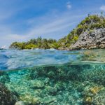 8 ilhas incríveis da região Sul do Brasil que você deve conhecer