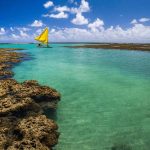 O que fazer em Porto de Galinhas